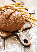 Bread with ears of wheat and flour on an old wooden table