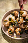 Close-up of a cropped, unrecognisable person serving baked snails with parsley butter from a ceramic plate, capturing the rich texture and vibrant green of the herbs.