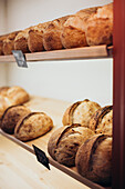 A display of freshly baked bread in a cosy bakery, with a golden crust and rustic texture - perfect for conveying warmth and artisan quality in culinary themes
