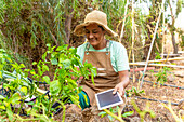 A gardener uses a tablet to optimise vegetable growth, combining traditional gardening with modern technology. Surrounded by lush plants that reflect sustainability and innovation