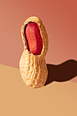 Close-up of a single raw peanut presented vertically, showing its rich texture and bright orange interior against a two-colour background. Perfect for health, nutrition and food ingredient themes.