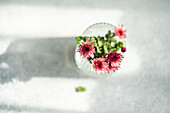 A close-up of pink flowers in a glass vase, illuminated by soft, natural light Shadows create interesting patterns on the light-coloured surface and enhance the texture and mood