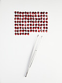 A neat, geometric arrangement of bright pomegranate seeds on a white surface that brings out their rich red colour and glossy texture. Ideal for health and food-related designs.