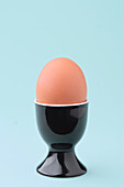 A single brown egg sits upright in an elegant black egg cup against a soft, light blue background. Simple and elegant, perfect for food-related themes.