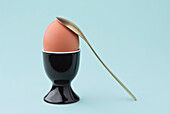 A clear and simple image showing a brown egg in an elegant black egg cup, accompanied by a golden spoon, against a soft blue background.