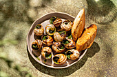 Baked snails in bowls with lush green parsley and golden yellow melted butter, served with toasted slices of bread on an attractive ceramic plate.