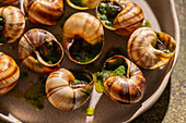 Close-up of a baked snail, flavoured with butter and parsley, served in a ceramic bowl.