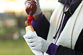 Cropped, unrecognisable photo of a person serving a hot dog with sauce at an outdoor fair. The focus is on the preparation of the food and emphasises the culture of street food.