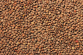 A high quality image showing a dense full screen view of dried brown lentil seeds, highlighting their natural texture and colours.