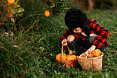 A child in a red chequered shirt and a winter cap collects oranges in baskets surrounded by greenery in an orchard. The scene depicts a cheerful autumn harvest outdoors.