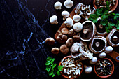 Selection of mushrooms, including fresh portobello, shiitake, white cup mushrooms and oyster mushrooms, as well as dried porcini mushrooms, sliced shiitake and mixed wild mushrooms.