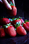 Frische rote Erdbeeren Closeup auf dunklem Hintergrund mit Frauenhand.