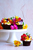 Japanese-inspired carrot cupcakes with edible flowers and negative space.