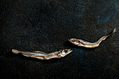 Two dried, sun-dried sea fish, smelt, ham and anchovies, on a dark textured background. Savoury traditional starter. Seafood background