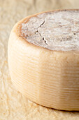 A close-up of half of an Italian cheese known as 'Pecorino' with its characteristic texture. Front view.