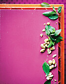 Chopped cashew nuts and Thai basil on a pink background