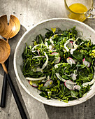 Herb salad with fennel and radishes