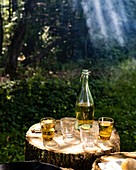 Weißwein in Gläsern und Flasche auf Baumstumpf für Picknick im Wald