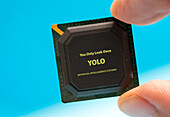 Yolo