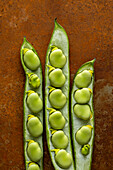 Three opened field bean pods