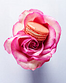 Macaron with rose flavour