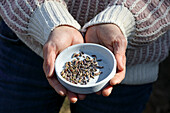 Hands holding a bowl of alder buds