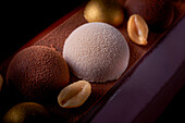 Bûche de Noël with chocolate mousse and peanuts, close up