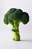 Standing broccoli on a white background
