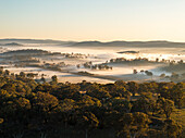 Luftaufnahme von nebligen Wäldern und sanften Hügeln bei Sonnenaufgang, Orange, New South Wales, Australien.