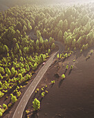 Aerial view of montana quemada and winding road through lush forest and volcanic ash, El Paso, Spain.