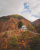Luftaufnahme der Tabayama Roller Slide-Pagode während der Koyo-Saison, Tokio, Japan.