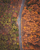 Luftaufnahme einer Straße, die zum Berg Haruna führt, während der Koyo-Saison, Gunma, Japan.