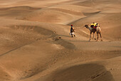 Aerial view of Man with camel walking on sand dunes of Khuri, Jaisalmer, Rajasthan, India