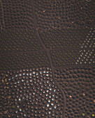 Aerial view of volcanic vineyards and fields in La Geria, Lanzarote, Canary Islands, Spain.
