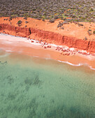 Aerial view of bottle bay with red cliffs and turquoise water, Francois Peron National Park, Australia.