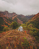 Luftaufnahme der Tabayama Roller Slide-Pagode während der Koyo-Saison, Tokio, Japan.