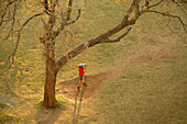 Aerial view of A child playing cricket in a garden late in the evening