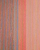 Luftaufnahme eines Tulpenfeldes bei 't Zand, Nordholland, Niederlande.