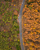 Luftaufnahme einer Straße, die zum Berg Haruna führt, während der Koyo-Saison, Gunma, Japan.
