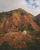 Luftaufnahme der Tabayama Roller Slide-Pagode während der Koyo-Saison, Tokio, Japan.