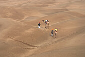Luftaufnahme von Kamelen mit Männern beim Überqueren der Sanddünen von Khuri, Jaisalmer, Rajasthan, Indien