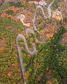 Luftaufnahme einer kurvenreichen Straße, die zum Berg Haruna führt, während der Koyo-Saison, Gunma, Japan.