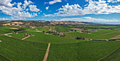 Aerial view of picturesque McLaren vineyards amidst beautiful hills and expansive farmland, Willunga, Australia.