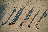 Aerial view of a music jazz band standing on a sandy road near Girona, Spain.