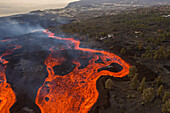 Luftaufnahme von oben, wie Lava den Vulkan Cumbre Vieja hinunterfließt, ein Vulkan während eines Ausbruchs in der Nähe der Stadt El Paraiso, Las Manchas, Insel La Palma, Kanarische Inseln, Spanien