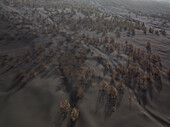Aerial view of a landscape covered with eruption black ashes from Cumbre Vieja, a Volcano in La Palma island, Canary Islands, Spain.
