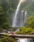 Aerial view of tiu kelep waterfall cascading through lush jungle in a pristine environment, Senaru, Indonesia.