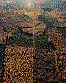 Aerial view of circle park with walking paths leading to oak tree De Eenzame Eik during frost in autumn, Sterrenbos, Amerongse Berg, Utrechtse Heuvelrug, Utrecht, Netherlands.