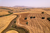 Aerial view of agricultural fields with a harvester in action amidst lush greenery, Enna, Italy.
