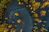 Aerial view of a landscape covered with eruption black ashes from Cumbre Vieja, a Volcano in La Palma island, Canary Islands, Spain.